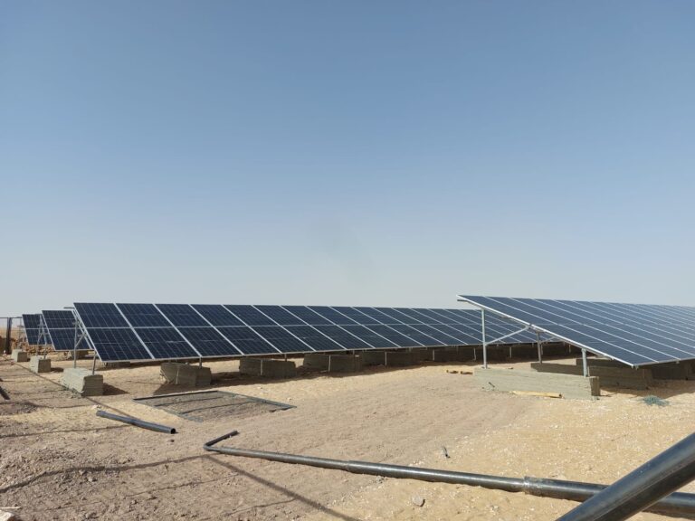 WhatsApp Image 2024-07-04 at 12.43.15 PM (2)