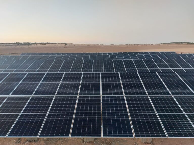 WhatsApp Image 2024-07-04 at 12.43.15 PM (4)