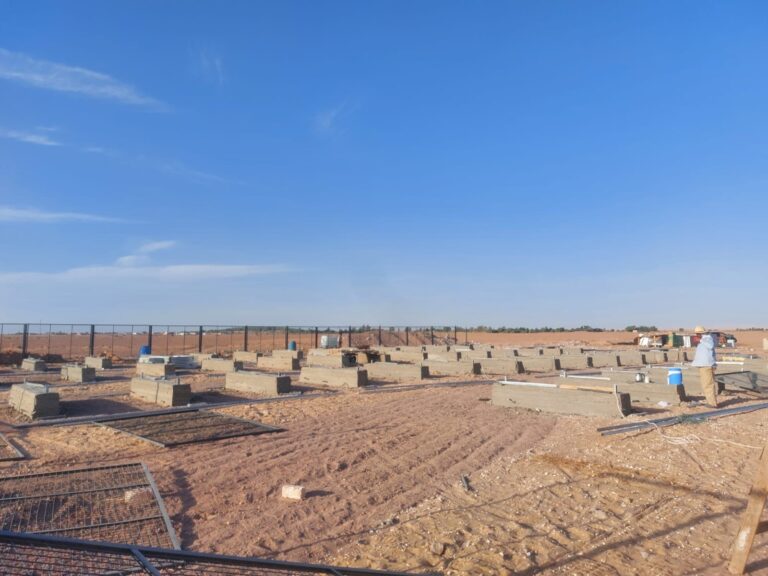 WhatsApp Image 2024-07-04 at 12.43.16 PM